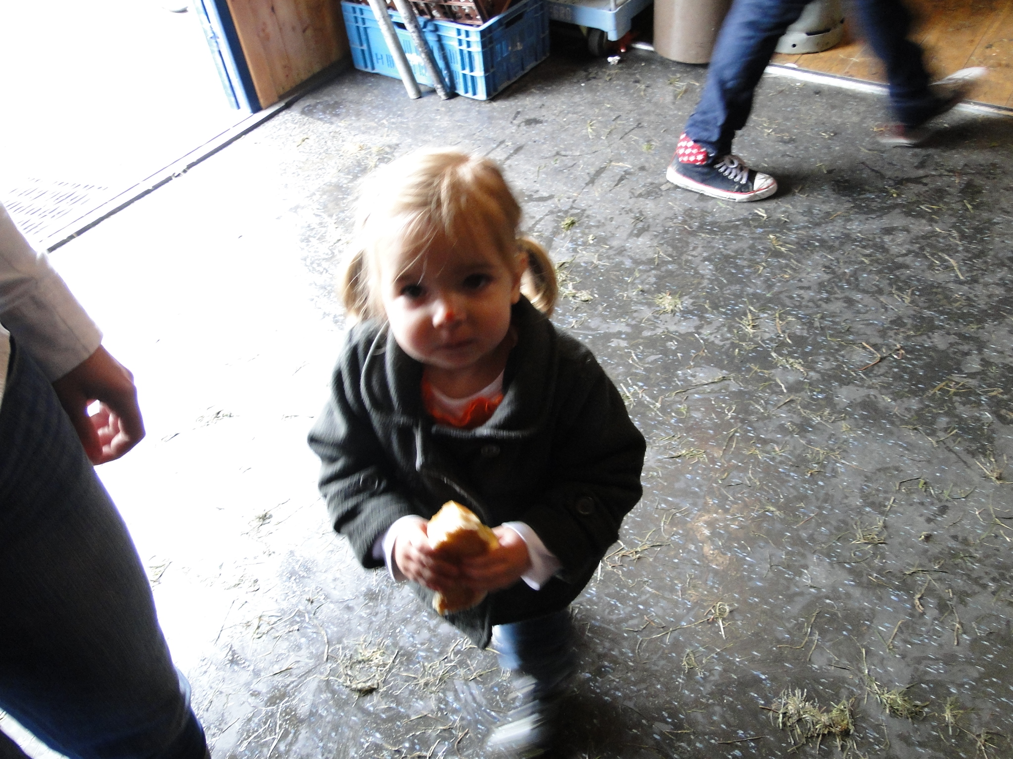 Koninginnedag 2010 127.jpg